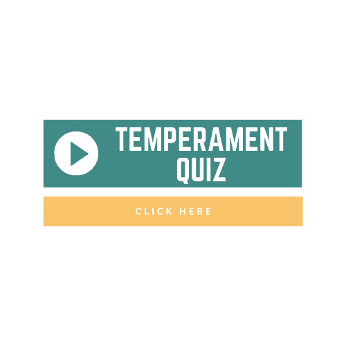 types of child temperament