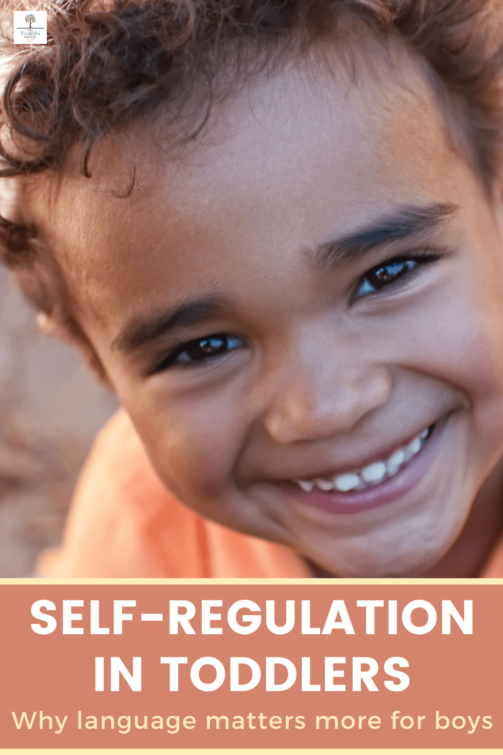 self-regulation in toddlers